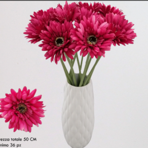 Gerbera magenta