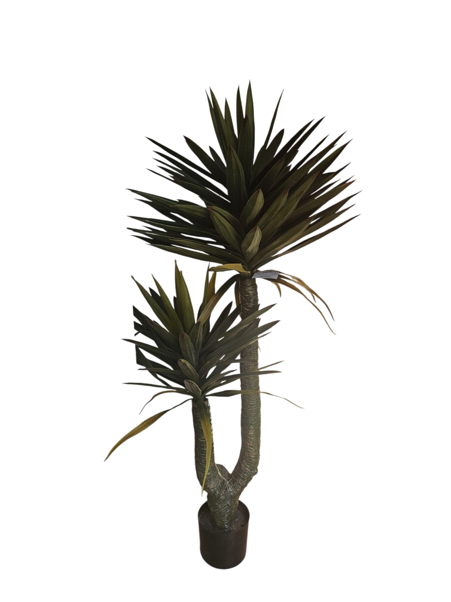 Pianta Yucca Artificiale